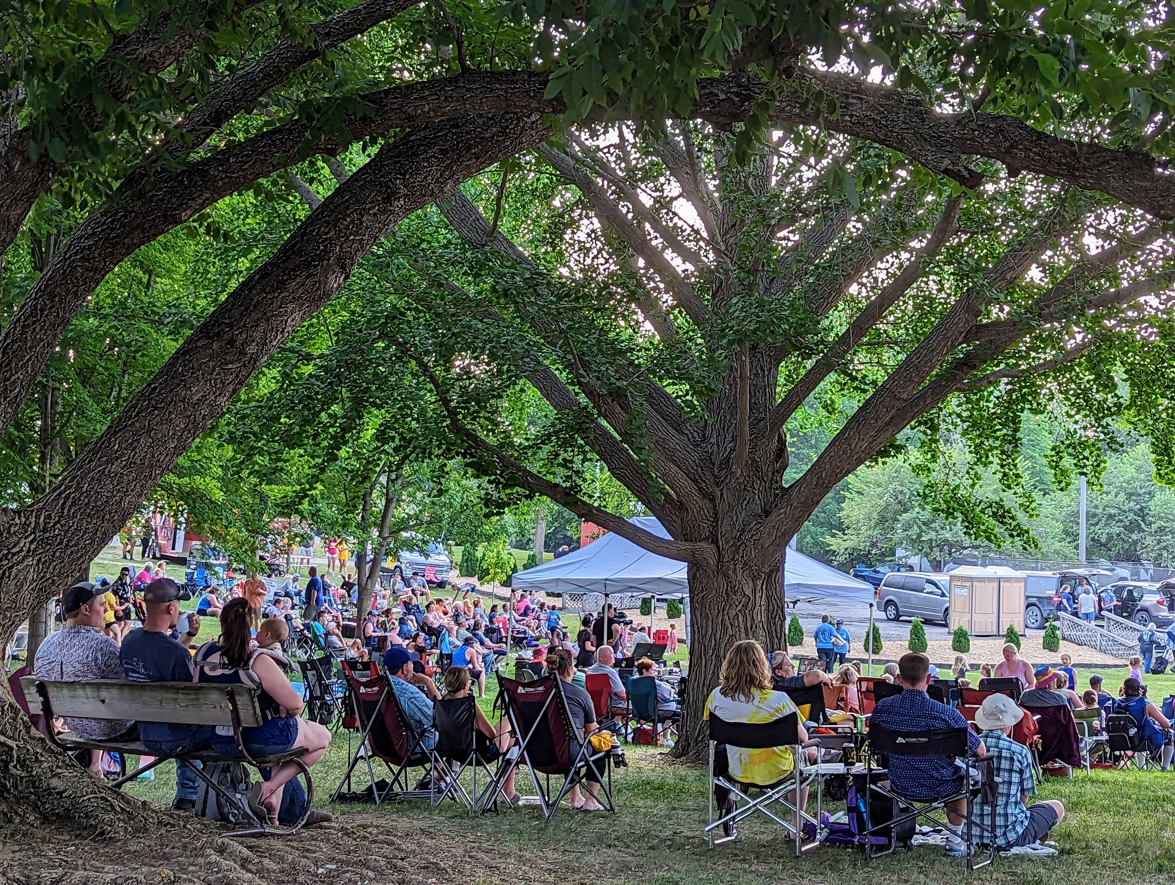 People sitting on chairs and benches under a large tree, attending an outdoor event with tents and tables visible in the background.